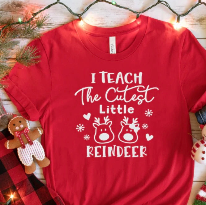 I teach the cutest little reindeer