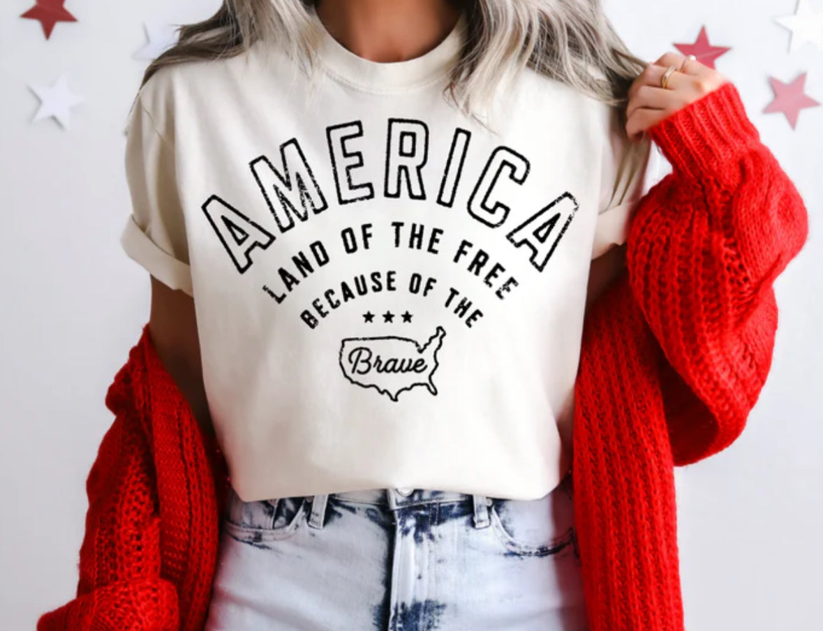 America- Land of the Free because of the Brave