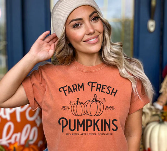Farm Fresh Pumpkins