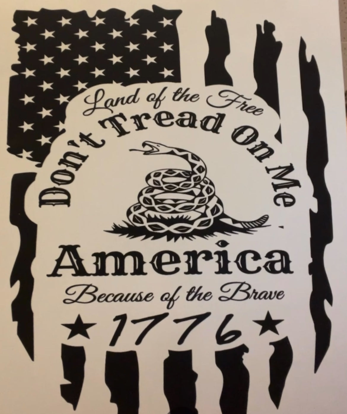 Land of the Free, Because of the Brave