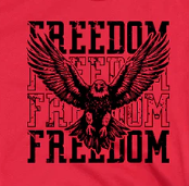 Freedom- Bald Eagle