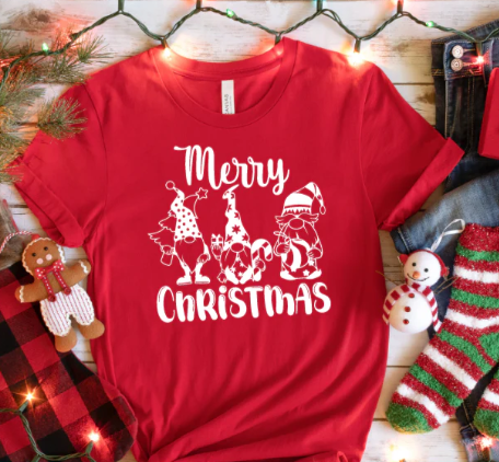 Merry Christmas- Gnomes